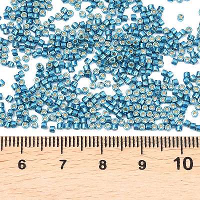 MIYUKI Delica Beads SEED-MY11-DB2513-1