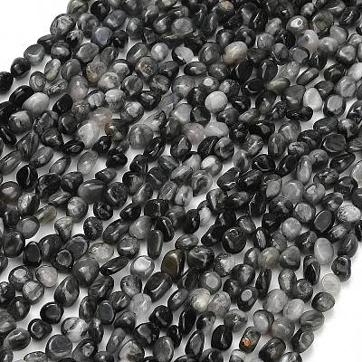 Natural Eagle Eye Stone Beads Strands G-D108-A02-03-1