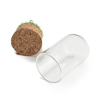 Natural Quartz Crystal Nuggets Display Decoration with Glass Dome Cloche Cover DJEW-B009-03B-1