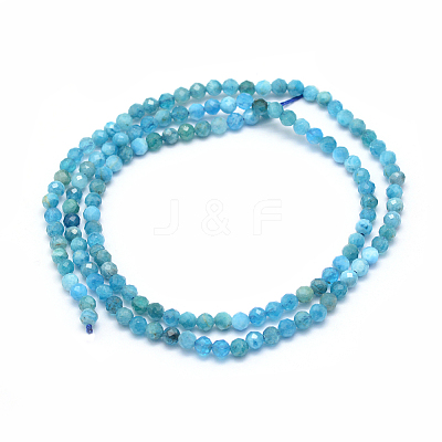 Natural Apatite Beads Strands X-G-E411-36-2mm-01-1