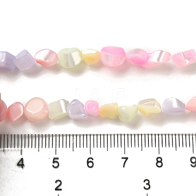 Rainbow Color Dyed Natural Freshwater Shell Beads Strands X1-SHEL-G018-02E-1