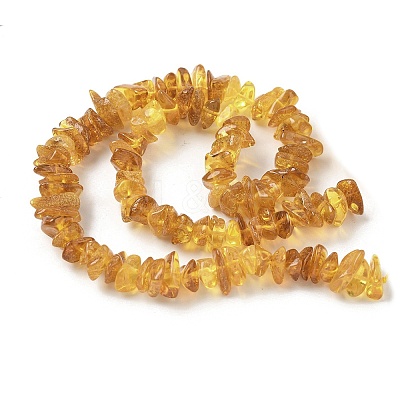 Natural Amber Beads Strands G-L095-D01-02-1