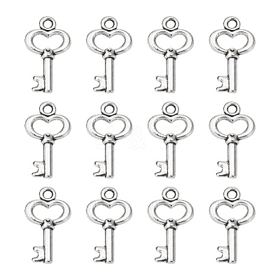 Gifts Ideas for Her Tibetan Style Alloy Charms LF11975Y-NF-1