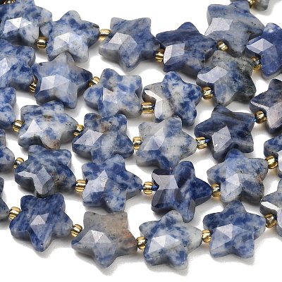 Natural Blue Spot Beads Strands G-P573-C45-01-1