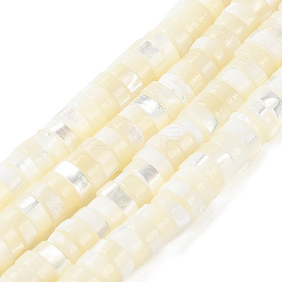 Natural Trochus Shell Beads Strands BSHE-E030-09A-01-1