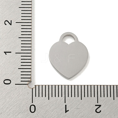 Non-Tarnish 304 Stainless Steel Pendants FIND-M017-01P-I-1