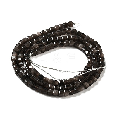 Natural Silver Sheen Obsidian Beads Strands G-D467-A01-1