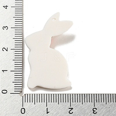Handmad Polymer Clay Pendants CLAY-E008-03B-1