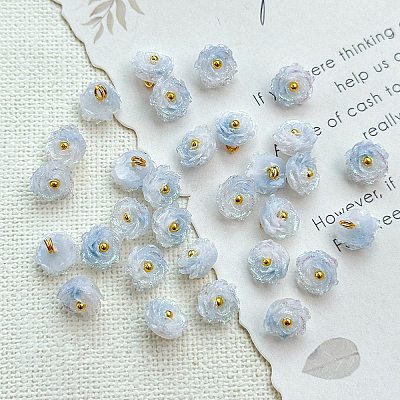 Two Tone Transparent Resin Charms RESI-CJC0023-19B-1