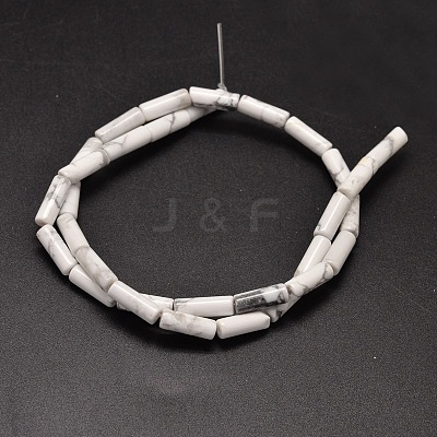 Natural Howlite Column Beads Strands G-F247-07-1