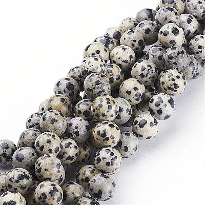 Natural Dalmatian Jasper Beads Strands GSR10mmC004-1