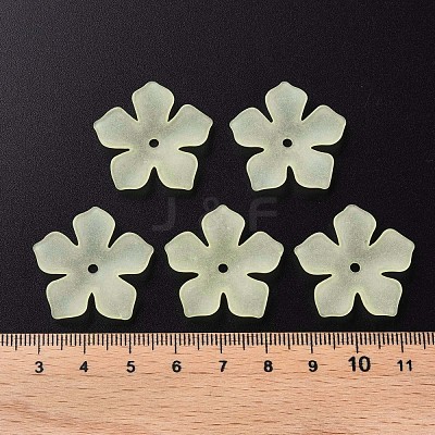 Transparent Acrylic Beads MACR-S373-119-D03-1