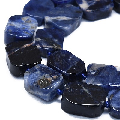 Natural Sodalite Beads Strands G-K245-J15-01-1
