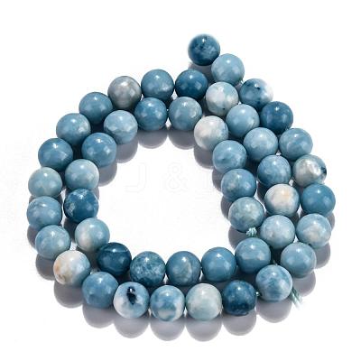 Natural Gemstone Beads Strands G-L367-01-10mm-1