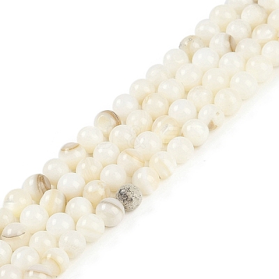 Natural Cultured Freshwater Shell Beads Strands BSHE-H109-03C-1