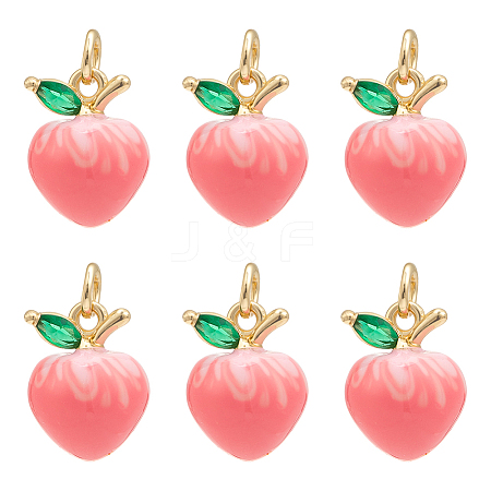 6Pcs Brass Micro Pave Cubic Zirconia Charms KK-PH0012-73-1