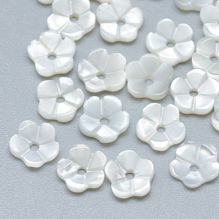 Natural White Shell Beads SSHEL-S260-001-1