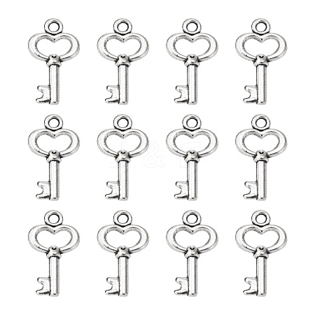 Gifts Ideas for Her Tibetan Style Alloy Charms LF11975Y-NF-1