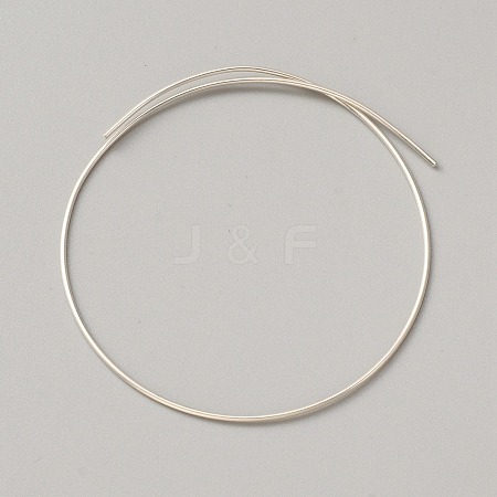 999 Fine Silver Wire STER-WH0008-14B-1