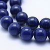 Natural Lapis Lazuli Beads Strands G-P342-01-10mm-A-3