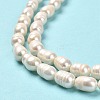 Natural Cultured Freshwater Pearl Beads Strands PEAR-E016-192-4