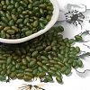 Transparent Colours Glass Seed Beads SEED-F006-03A-04-1