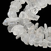 Natural Rainbow Moonstone Chip Beads Strands G-C195-01-4