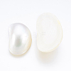 Natural White Shell Mother of Pearl Shell Cabochons SSHEL-P014-01A-2