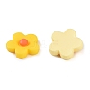 Resin Cabochons CRES-CJ0001-11-2