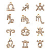 Zinc Alloy Pendants ALRI-FW0001-03G-11