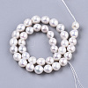 Natural Nucleated Pearl PEAR-S016-008-2