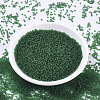 MIYUKI Round Rocailles Beads SEED-G007-RR0146F-2