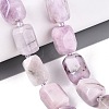 Natural Kunzite Beads Strands G-N362-07A-08-1