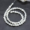 Natural White Shell Beads Strands SSHEL-P015-01A-8mm-2