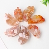 Natural Cherry Blossom Agate Display Decorations G-PW0004-28-1