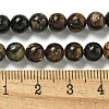 Natural Phlogopite Beads Strands G-P546-A01-02-5