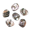 Natural Paua Shell Pendants X-SHEL-T020-11A-1