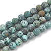Natural African Turquoise(Jasper) Beads Strands G-T106-204-1