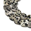 Natural Dalmatian Jasper Beads Strands X-G-M403-A31-03-4
