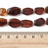 Natural Amber Beads Strands G-L095-C01-03-5