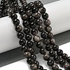 Natural Silver Obsidian Beads Strands X-G-S150-20A-8mm-2