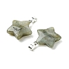 Natural Labradorite Pendants GG-K002-10G-2
