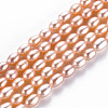 Natural Cultured Freshwater Pearl Beads Strands PEAR-N012-02C-2