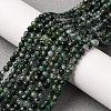 Natural Moss Agate Beads Strands G-A129-4mm-01-1