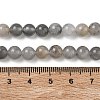 Natural Cloudy Quartz Beads Strands G-D840-69-6mm-2