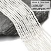 Eco-Friendly Dyed Glass Pearl Round Beads Strands HY-A002-3mm-RB001-2
