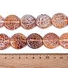 Natural Weathered Agate Beads Strands G-Q606-42D-5