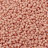 MIYUKI Round Rocailles Beads X-SEED-G008-RR0596-3