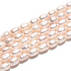Natural Cultured Freshwater Pearl Beads Strands PEAR-N024-04-2AB-2