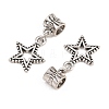 Alloy European Dangle Charms PALLOY-YW001-06-2